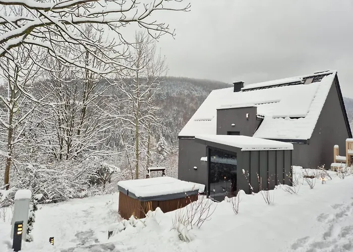 Aspen Deluxe Apartment *