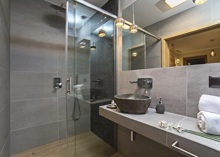 Apartment Aspen Deluxe Miedzybrodzie Bialskie